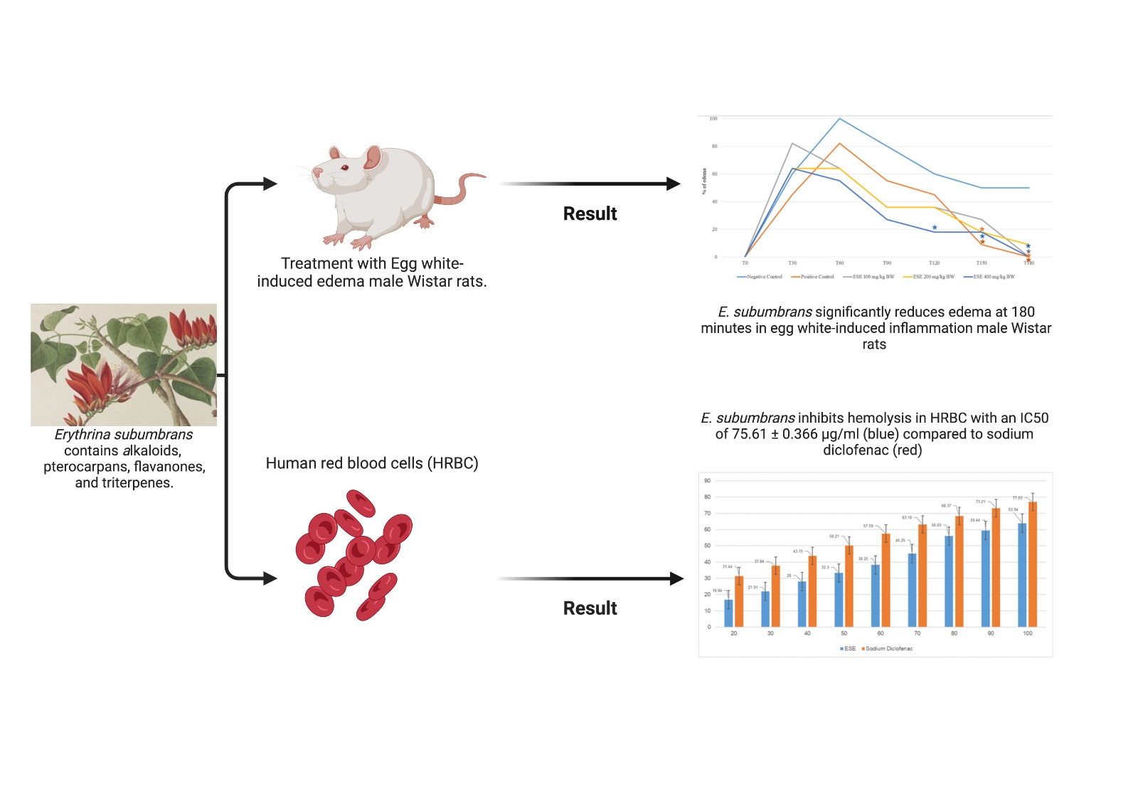 Graphical Abstract